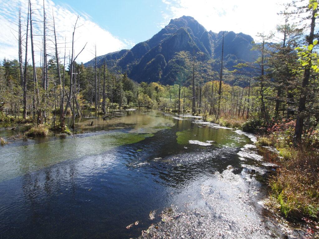 岳沢湿原