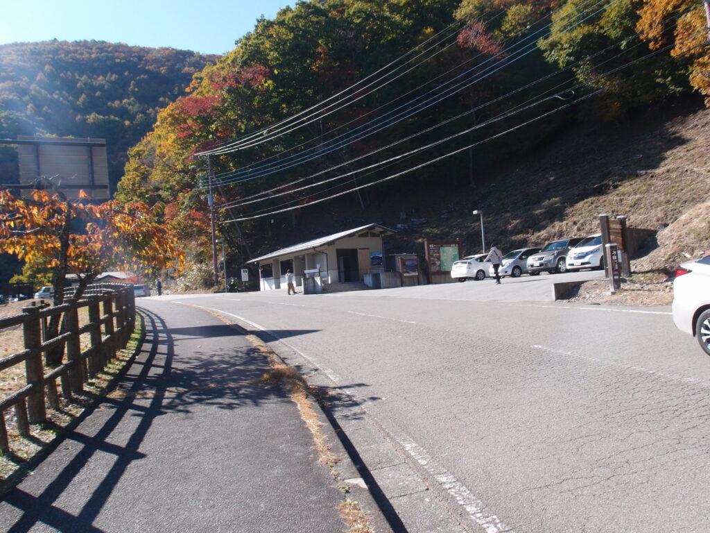 「なでしこ」が寝ていたトイレ