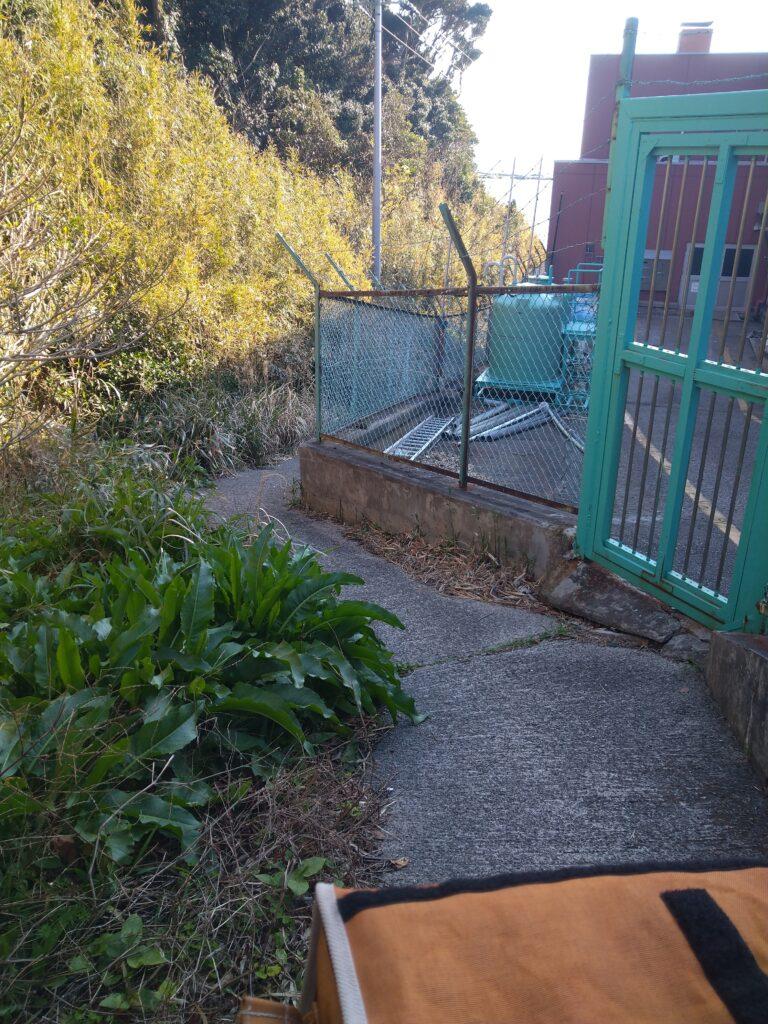 荒井浜へ降りる道