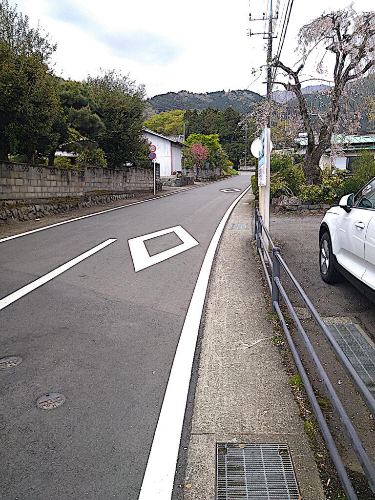 滝沢園への道