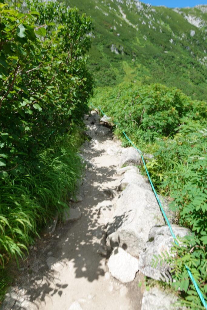 登山道