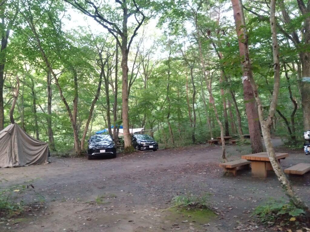 朝のキャンプ場