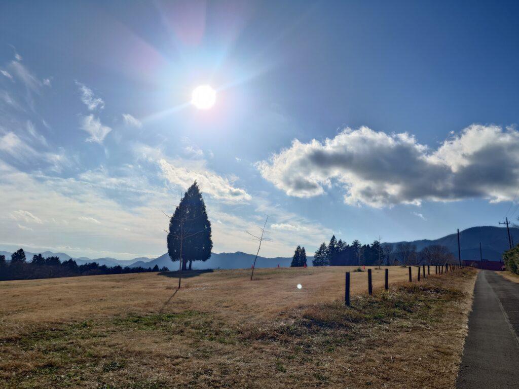 坂