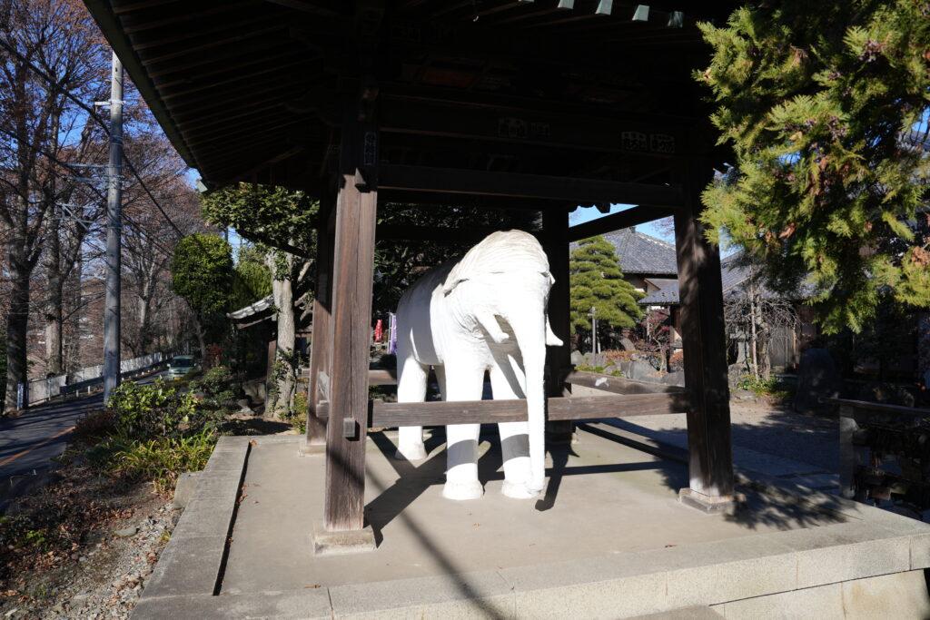 観音寺・張り子の白象