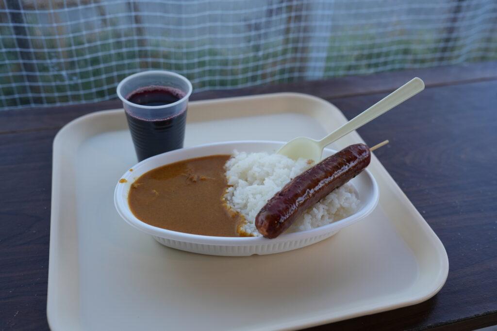 カレーとシシカバブ