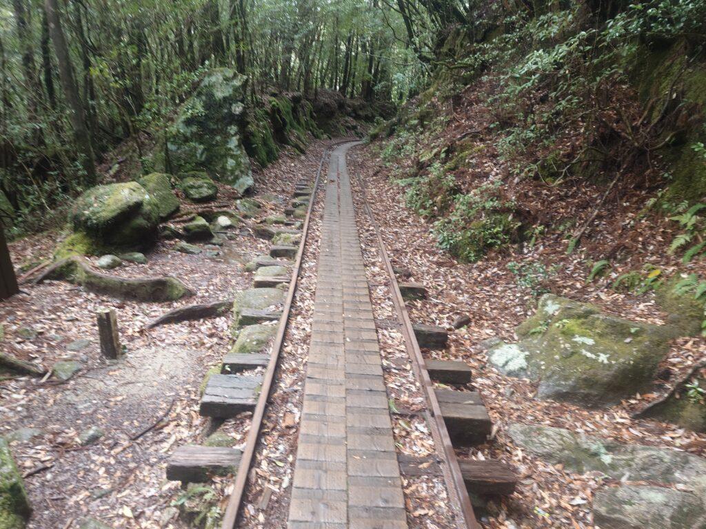 トロッコ道
