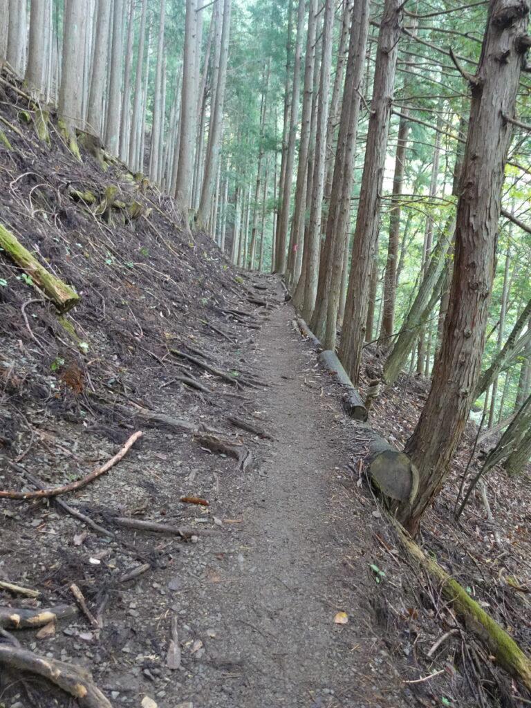 登山道