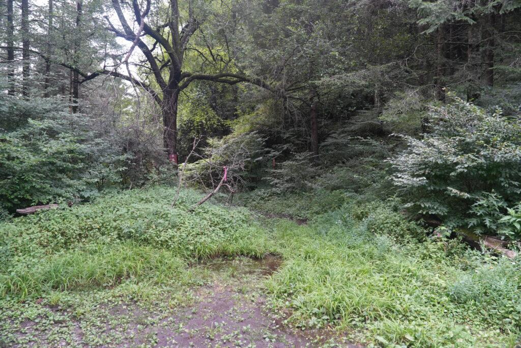 荷直し峠