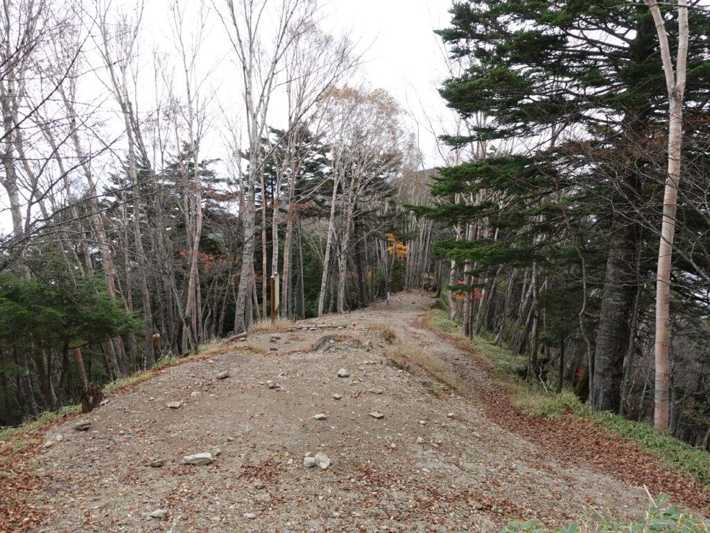 雲取山荘テント場