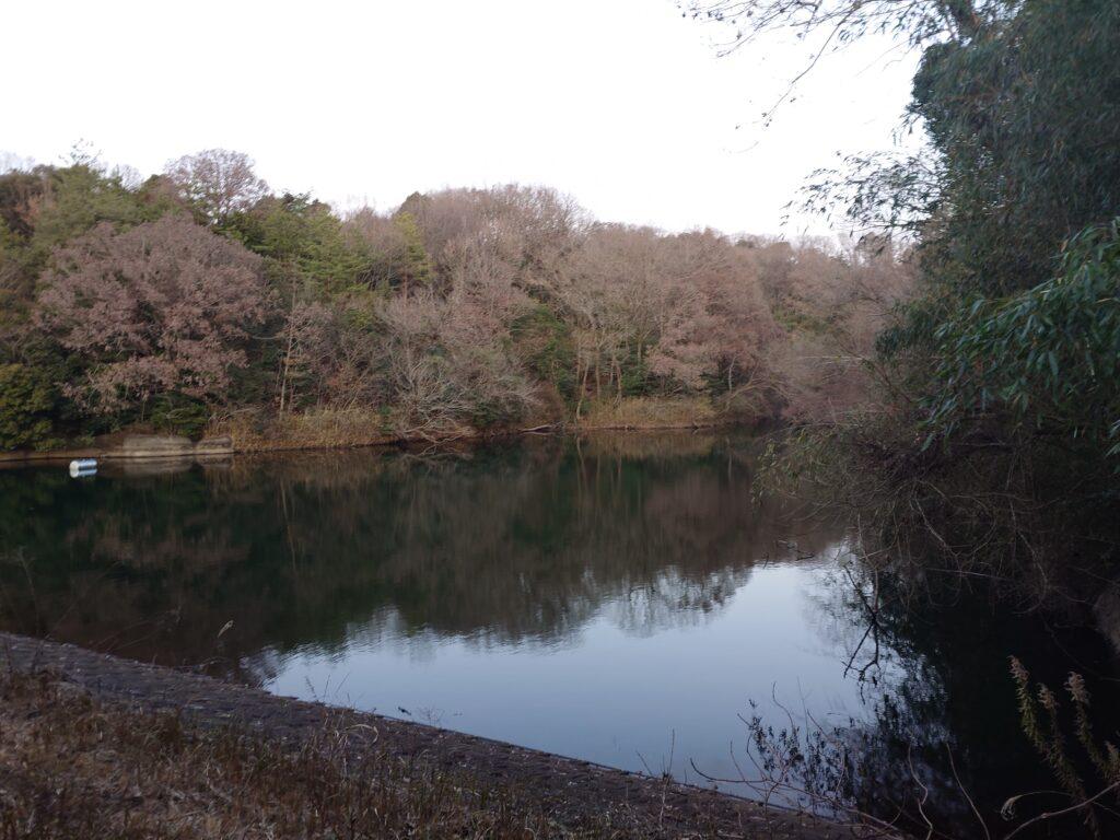 ため池