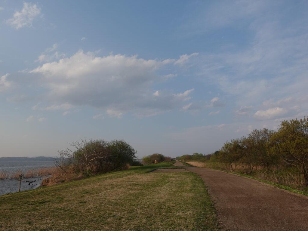 仏沼地区水辺広場