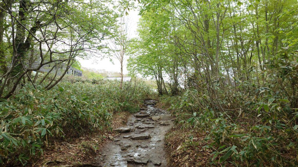 鳩待峠の手前