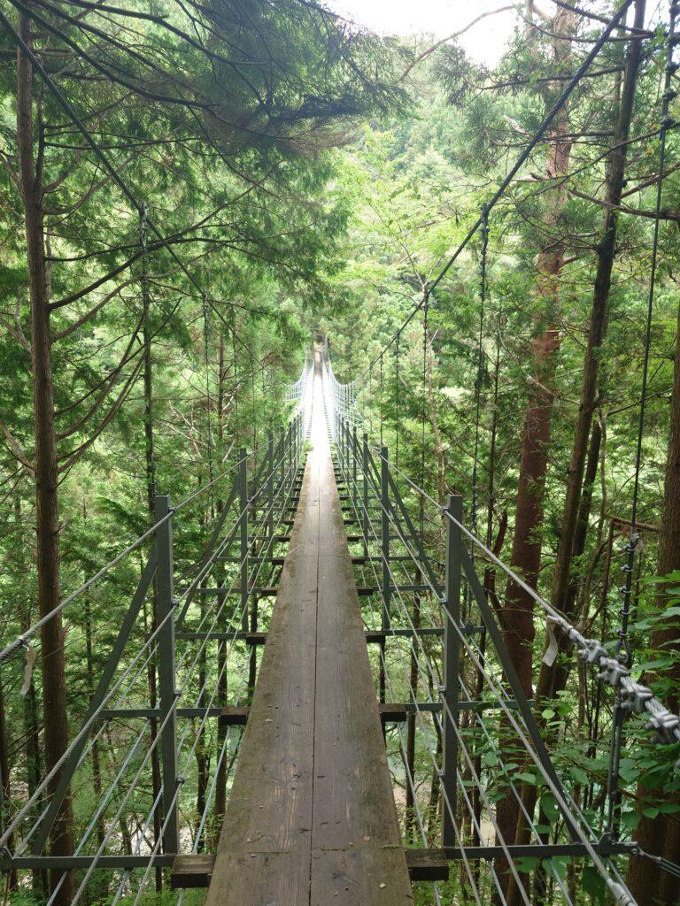 夢の吊り橋