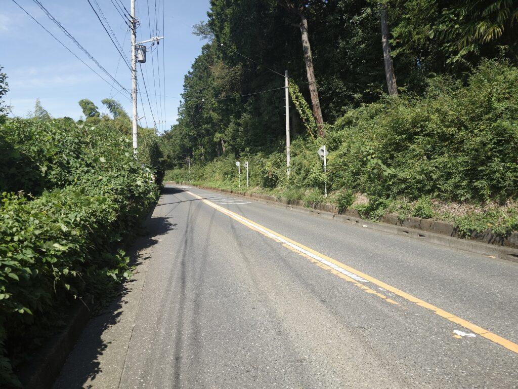 キャンプ場までの道