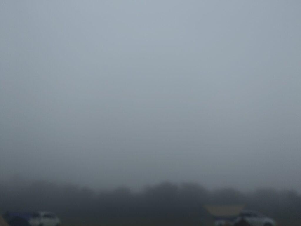 朝